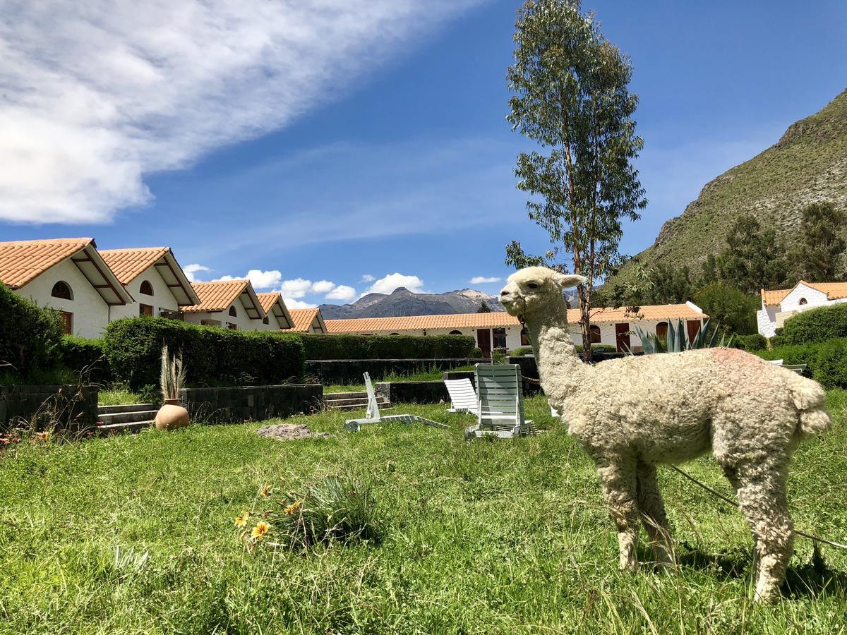 Casona Plaza Ecolodge Colca Yanque Екстериор снимка